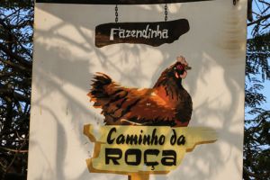 Semana da Criança - A Fazendinha