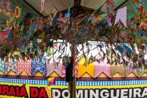 Festa Junina 2018 - Arraiá da Domingueira