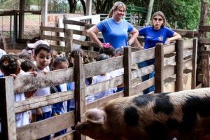 Fazendinha Caminho da Roça